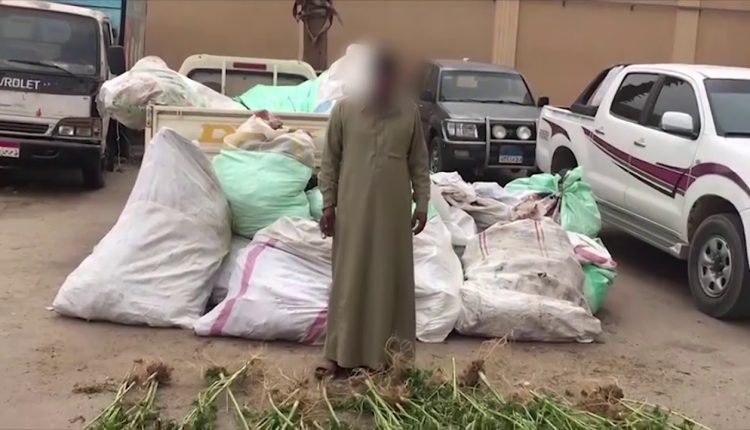 وقائع القبض على ملك الهيروين الخام فى الاسماعيلية