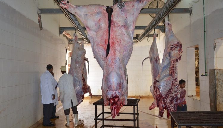 االتموين تطمئن الجماهير بشأن اللحوم الحية وتؤكد لدينا مخزون لما بعد عيد الاضحى