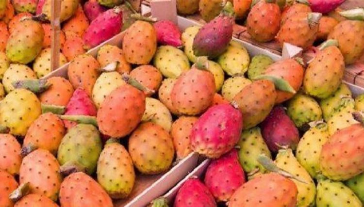 فوائد مدهشة للاستخدام قشر التين الشوكى