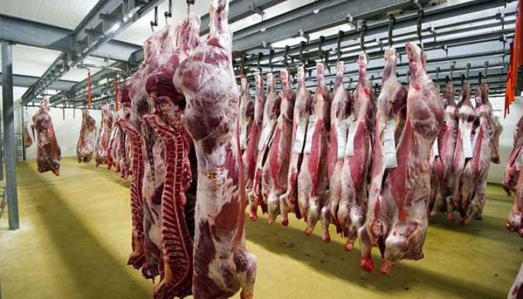 التموين تطرح لحوما طازجة ومجمدة بأسعار تبدأ من 130جنيه الى 195 جنيه للكيلو فى المجمعات الاستهلاكية