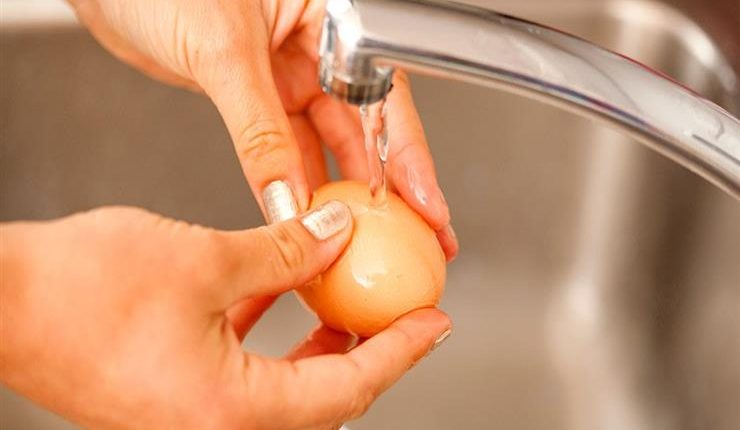 ممنوع غسيل البيض قبل حفظه فى الثلاجة يسبب كارثة صحية