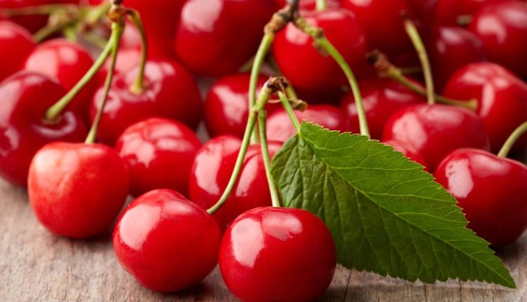 ماذا يحدث لجسمك عند تناول الكريز يوميا